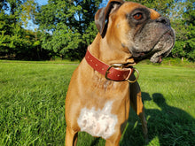Load image into Gallery viewer, Custom Leather Dog Collar