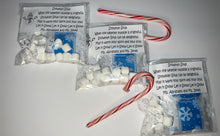 Load image into Gallery viewer, Snowman Soup