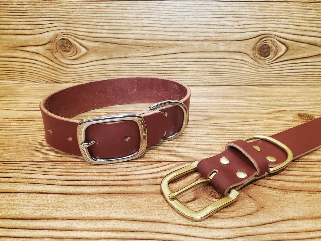 Custom Leather Dog Collar